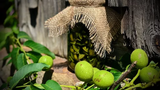 Orzech&oacute;wka vegestyl