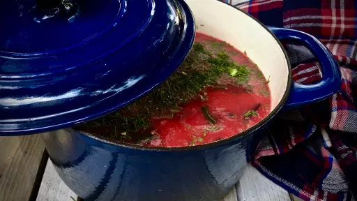 Zupa botwinkowa zabielana śmietanką kokosową vegestyl