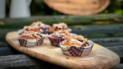 Drożdż&oacute;wki z bakaliami vegestyl