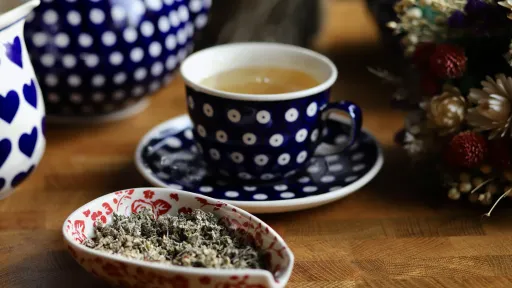 Czystek, herbata w niebieskiej filiżance, sucha herbata obok, styl vegestyl.