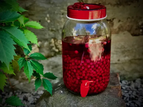 Nalewka z czerwonej porzeczki vegestyl