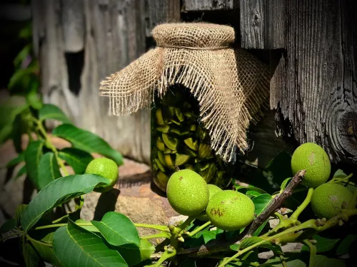 Orzech&oacute;wka vegestyl