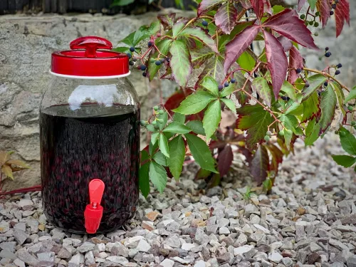 NALEWKA Z CZARNEJ PORZECZKI VEGSTYL