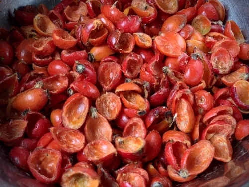 Dzika r&oacute;ża w syropie vegestyl