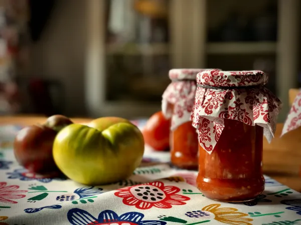 Pulpa pomidorowa vegestyl