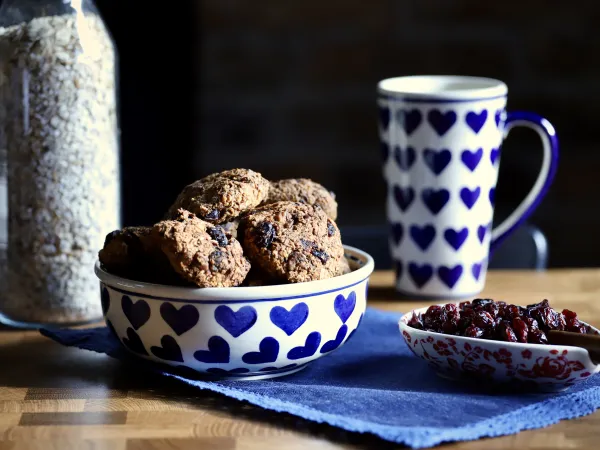 Ciasteczka śniadaniowe z żurawiną vegestyl