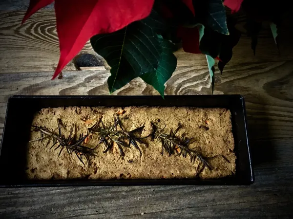 Pasztet orientalny z tofu vegestyl