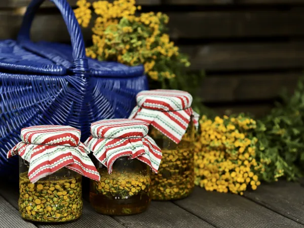 Wrotycz - Przepisy Ludowe vegestyl