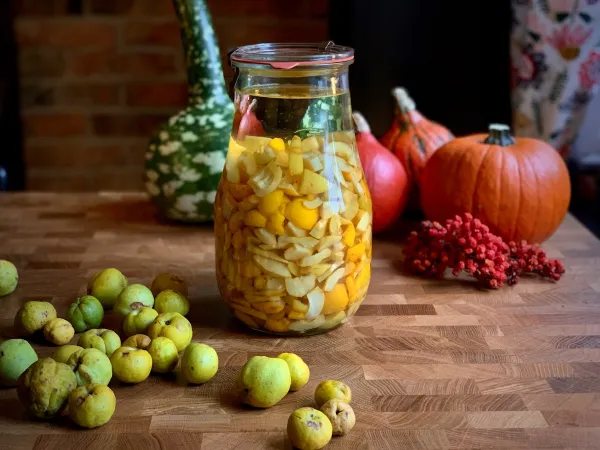 Nalewka z pigwowca vegestyl