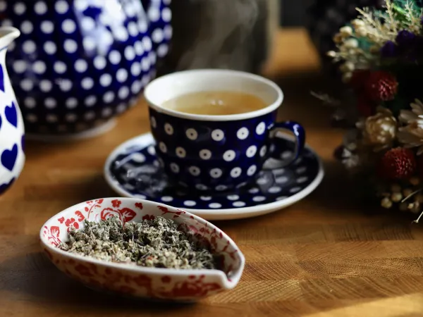 Czystek, herbata w niebieskiej filiżance, sucha herbata obok, styl vegestyl.