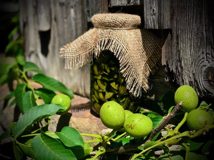 Orzech&oacute;wka vegestyl