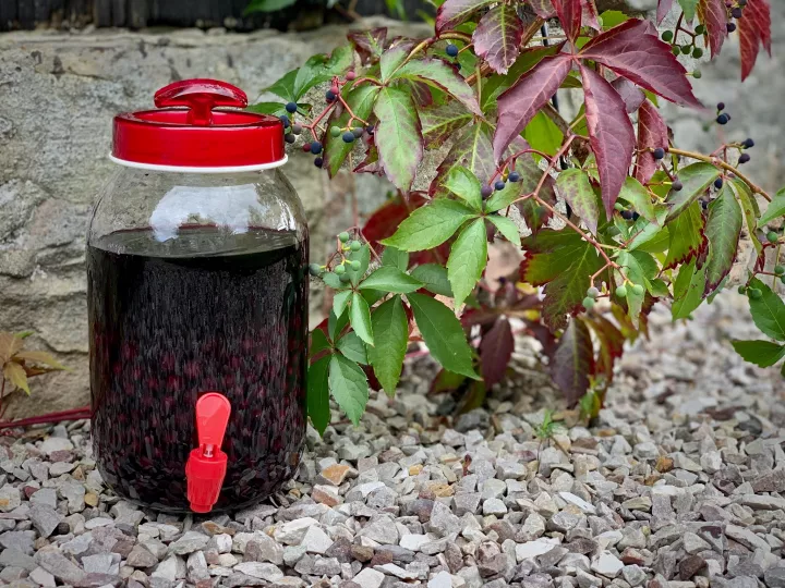 NALEWKA Z CZARNEJ PORZECZKI VEGSTYL