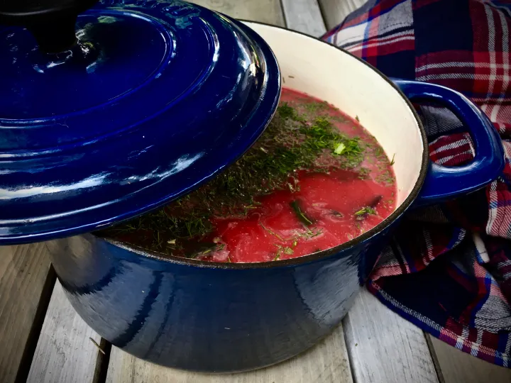Zupa botwinkowa zabielana śmietanką kokosową vegestyl